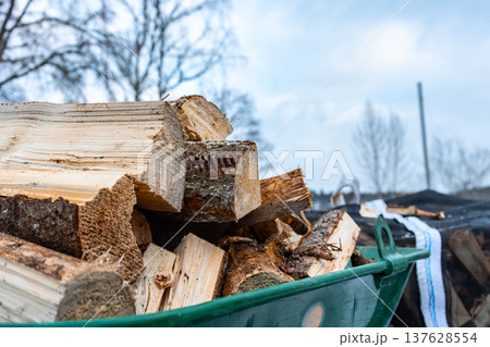 Preparing Firewood for Heating Season in Snow. 137628554