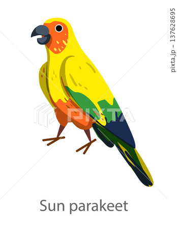 Flat vector illustration of a sun parakeet parrot in side view. Bright tropical parrot isolated on a white background. 137628695