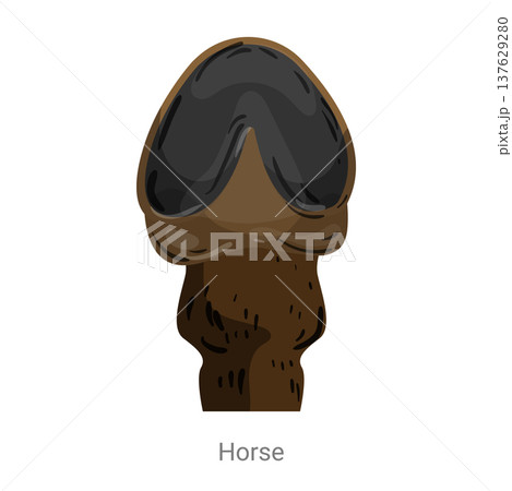 Cartoon vector illustration of a horse hoof showing the solid hoof structure and leg section isolated on a white background for farm or zoology education. 137629280