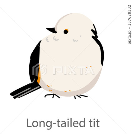 Flat vector illustration of a long-tailed tit in side view. Cute small songbird with a fluffy round body isolated on a white background. 137629332
