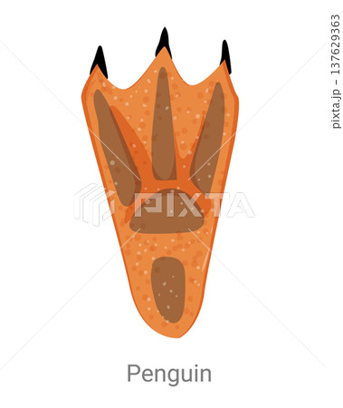 Cartoon vector illustration of a penguin footprint with webbed toes and claws isolated on a white background for wildlife tracking or educational design. Cartoon vector illustration of a penguin footprint with webbed toes and claws isolated on a white background for wildlife tracking or educational design. 137629363
