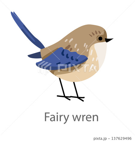 Flat vector illustration of a fairy wren in side view with blue wings. Cute small songbird isolated on a white background. Flat vector illustration of a fairy wren in side view with blue wings. Cute small songbird isolated on a white background. 137629496
