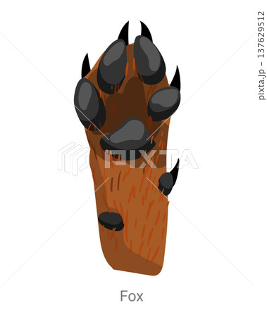 Cartoon vector illustration of a fox paw with pads, claws and fur texture isolated on a white background for wildlife tracking or zoology education. Cartoon vector illustration of a fox paw with pads, claws and fur texture isolated on a white background for wildlife tracking or zoology education. 137629512