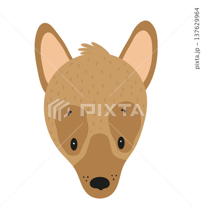 Flat vector illustration of a cute dingo dog face. Cartoon wild dog isolated on a white background. 137629964