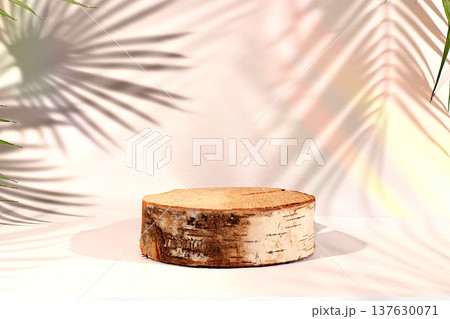 Empty birch podium for displaying cosmetics, set against an elegant, sunny, and colorful backdrop with shadows cast by tropical palm trees. The perfect template for your creative work, 137630071