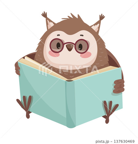 Owl Reading a Big Blue Book Owl Reading a Big Blue Book 137630469