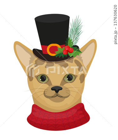 Abyssinian Cat with Top Hat Abyssinian Cat with Top Hat 137630620