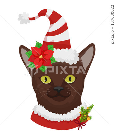 Burmese Cat with Santa Hat Burmese Cat with Santa Hat 137630622