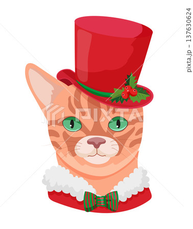 Tabby Cat with Red Top Hat Tabby Cat with Red Top Hat 137630624