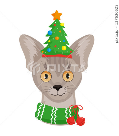 Abyssinian Cat with Tree Hat Abyssinian Cat with Tree Hat 137630625