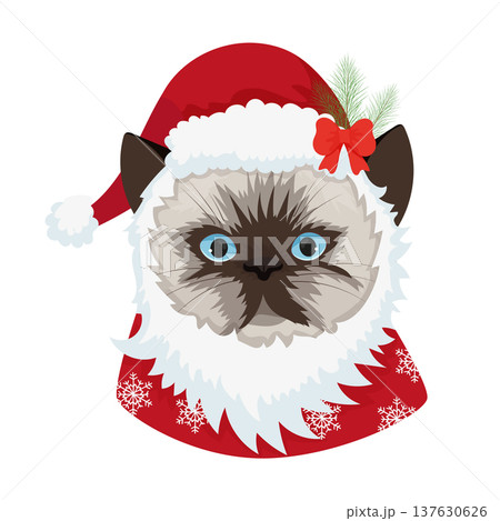Himalayan Cat with Santa Hat Himalayan Cat with Santa Hat 137630626