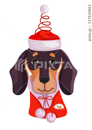 Dachshund in a Christmas Hat Dachshund in a Christmas Hat 137630663