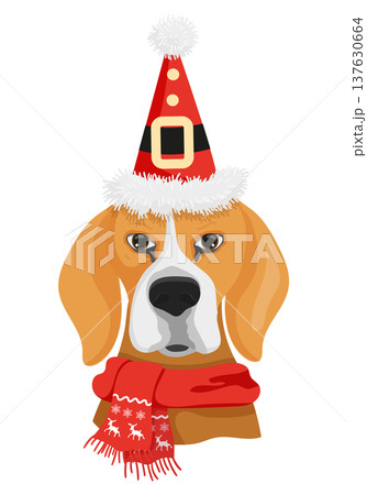 Beagle in a Santa Hat 137630664