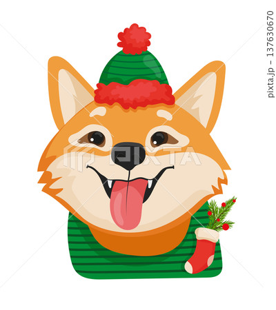Shiba Inu in Christmas Hat 137630670