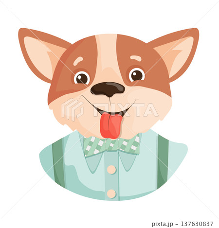 Happy Corgi in a Bow Tie 137630837