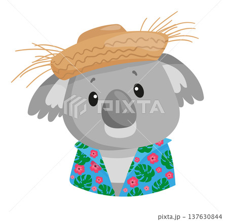 Hawaiian Koala Illustration 137630844