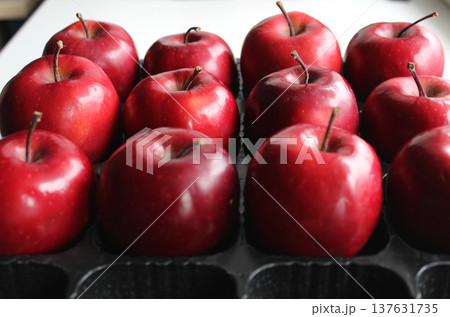 Rows Of Ripe Red Apples In Plastic Box For Fruits Transportation  137631735