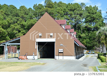 ザ ステイブル ザ ステイブル 137632001