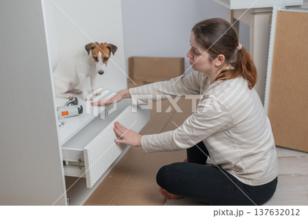 A Caucasian woman assembles furniture with her cute dog. 137632012