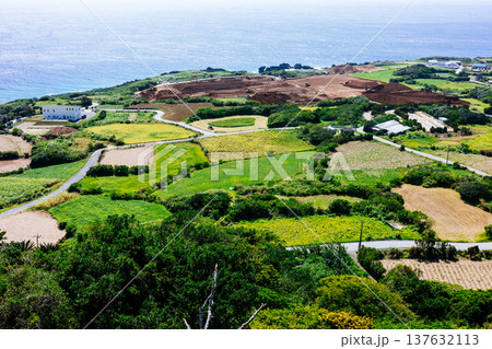 与論城跡から見た風景 137632113