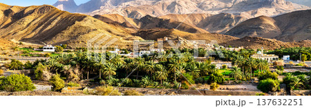 A wide panoramic view of the lush palm oasis and buildings in Al Ayn village and Al Hajar Mountains in Oman 137632251