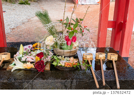 石浦神社(金沢)の花手水と彩り豊かな花々 137632472