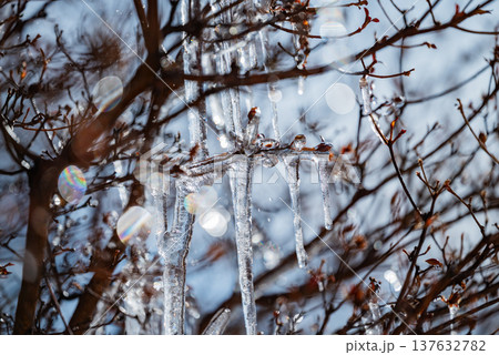 光り輝くツララ 137632782