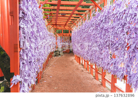 広坂稲荷神社に並ぶ大量のおみくじの通路（石浦神社・金沢） 137632896