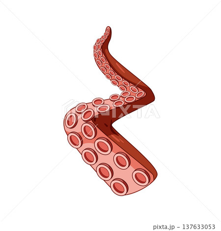 Octopus tentacle reaching and showing its suckers 137633053