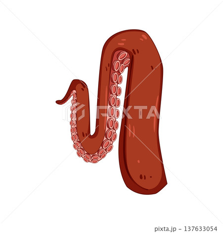 Octopus tentacle reaching and showing suckers illustration 137633054