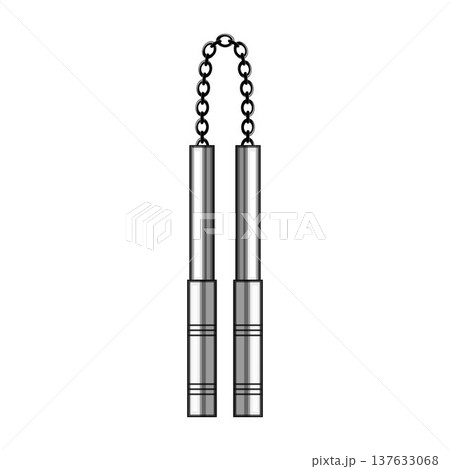 Nunchaku representing martial arts weapon and training equipment 137633068