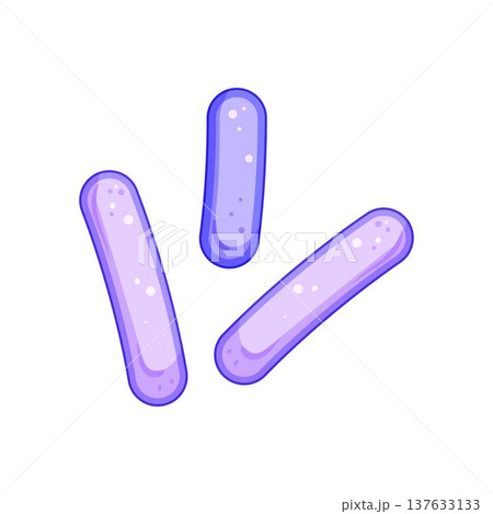 Lactobacilli bacteria maintaining healthy gut microbiome illustrating probiotic concept Lactobacilli bacteria maintaining healthy gut microbiome illustrating probiotic concept 137633133