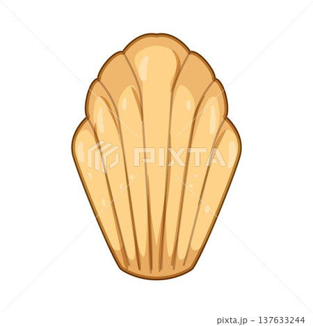 Madeleine cookie sweet french pastry food illustration Madeleine cookie sweet french pastry food illustration 137633244