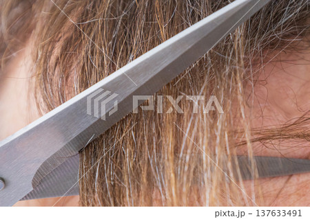 Close Up Haircut With Scissors 137633491
