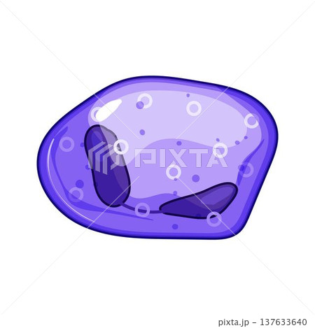 Immune system cell with lobed nucleus cartoon 137633640