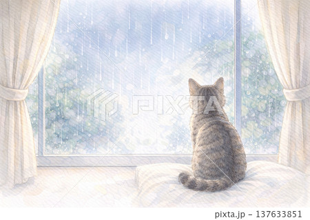 梅雨と猫 137633851