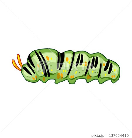 Green caterpillar larva displaying insect growth and metamorphosis 137634410
