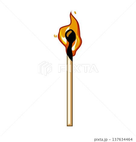 Burning wooden matchstick with bright flame on white background 137634464
