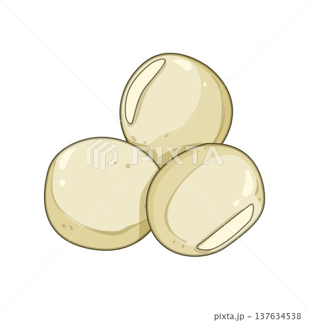 White bean digital drawing representing healthy legumes 137634538