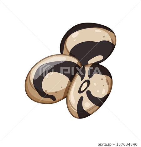 Calypso beans graphic displaying organic healthy legumes 137634540