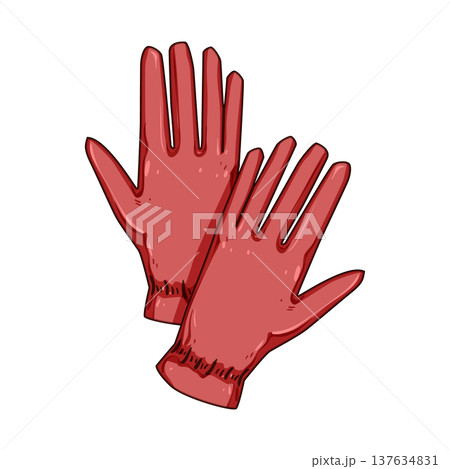 durable leather gloves cartoon vector illustration durable leather gloves cartoon vector illustration 137634831