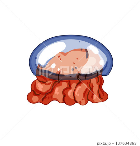 transparent jellyfish cartoon vector illustration 137634865