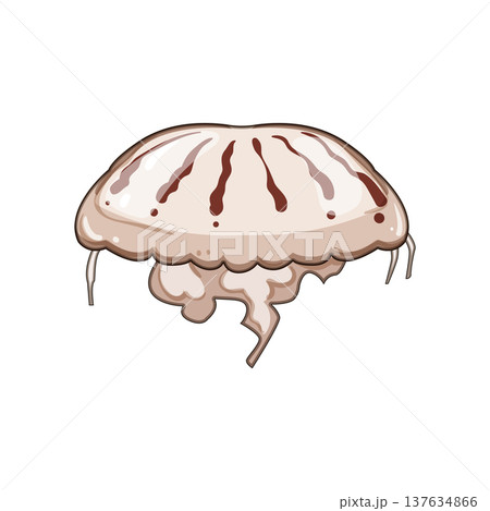 plankton jellyfish cartoon vector illustration 137634866