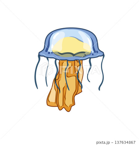 marine jellyfish cartoon vector illustration 137634867