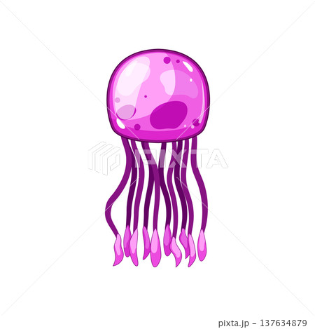 ocean jellyfish cartoon vector illustration ocean jellyfish cartoon vector illustration 137634879