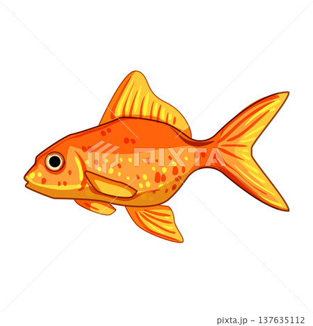 ranchu goldfish cartoon vector illustration ranchu goldfish cartoon vector illustration 137635112