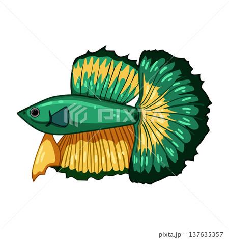 oscar exotic fish cartoon vector illustration oscar exotic fish cartoon vector illustration 137635357