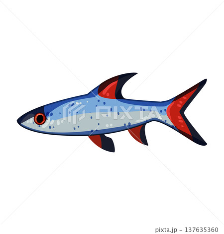 cichlid exotic fish cartoon vector illustration cichlid exotic fish cartoon vector illustration 137635360