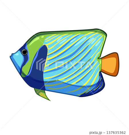 tetra exotic fish cartoon vector illustration 137635362