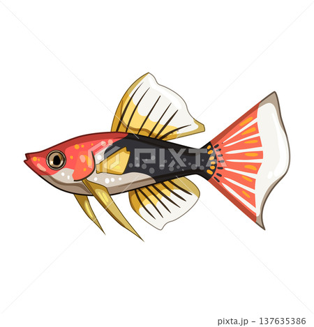 discus decorative fish cartoon vector illustration 137635386